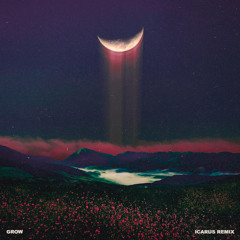 Grow (Icarus Remix) [feat. Wye Oak]