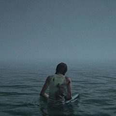 protect - last of us