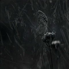 "Butterfly Sunset" - Travis Scott x Kendrick Lamar Type Beat 2021