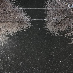 폭설 DEMO