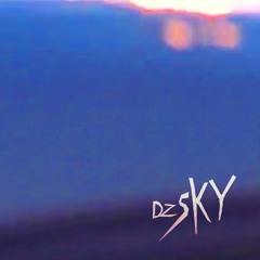 dzSKY - NeverAgain