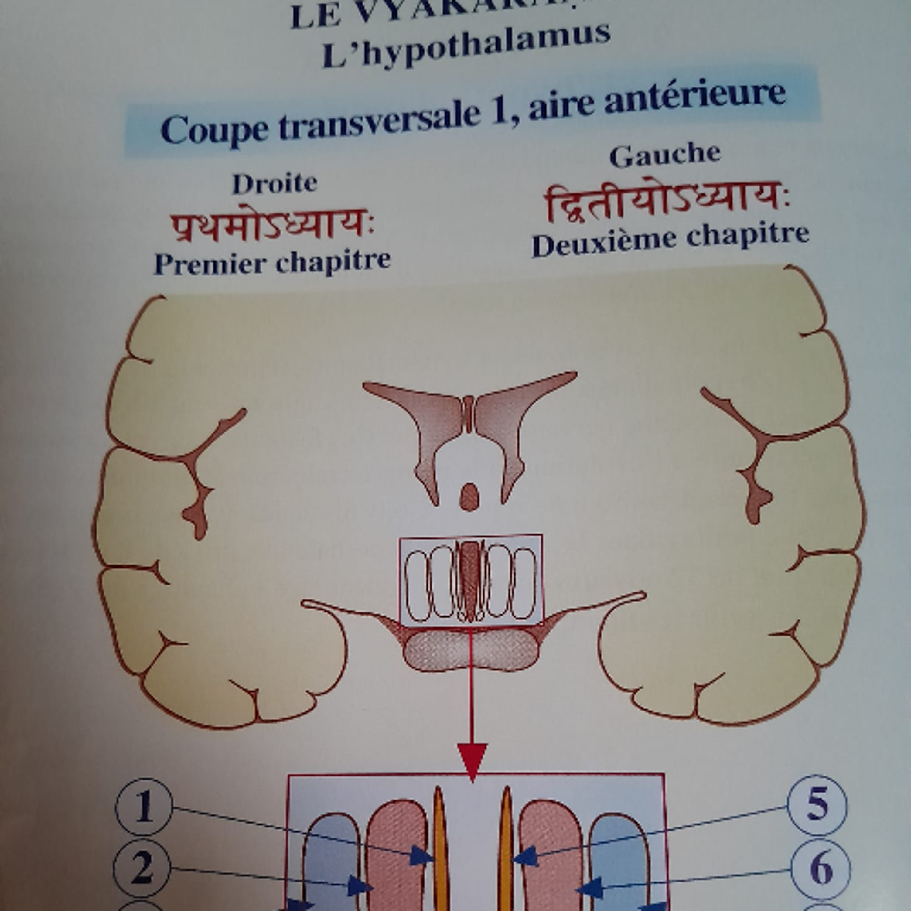 Radio Gandharva Gana