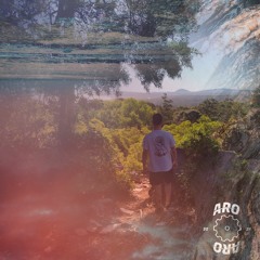 Symm #22(AroAroRecordings)