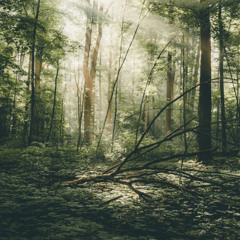 Hidden Sequence ~ Ancestral Echos [SS31]