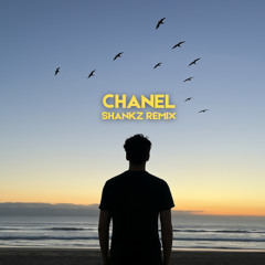 Frank Ocean - Chanel (Shankz Remix) [FREE DOWNLOAD]