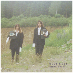 Ziggy Ziggy