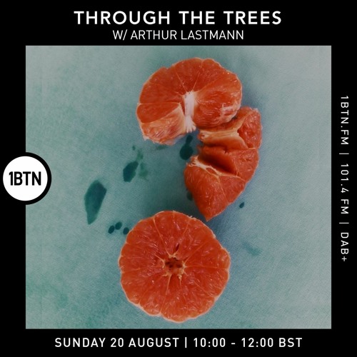 Through The Trees with Arthur Lastmann - 20.08.2023