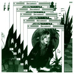 Document (Alternate Version)