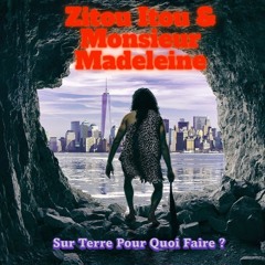 Sur terre pour quoi faire BY Monsieur Madeleine & Zitou Itou