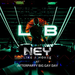 Afterparty Big Gay Day 2025