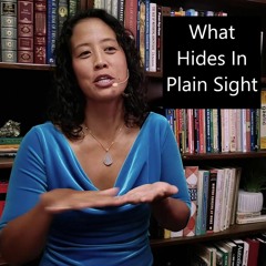 Episode 87 What Hides In Plain Sight