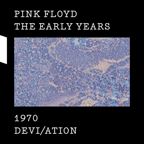 Stream Love Scene Version 1 (Zabriskie Point Remix) by Pink Floyd