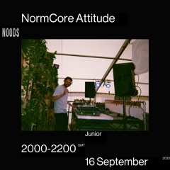 Normcore Attitude 32 w/ Junior