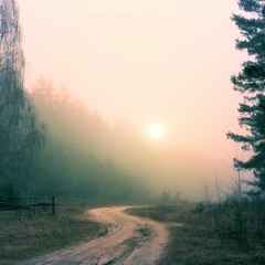 Fading Skies