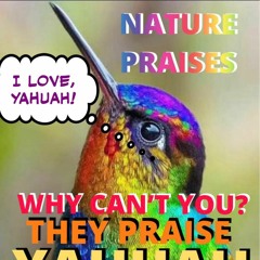 Nature Praises