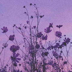 ramonda-teyadora(cover)