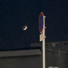 言葉よりもっと欲しいものがあるのよ