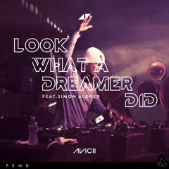 Avicii Silver lining