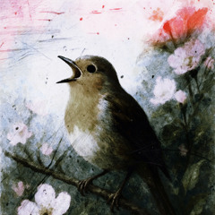 Song Bird