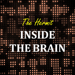 INSIDE THE BRAIN