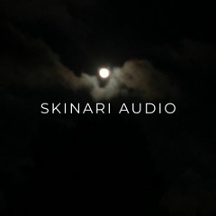 Phase 016 | Full moon with Carleo [stockholm, swe]