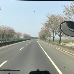 Thanh Sơn Nhất Biệt  Hải Lai A Mộc  青山一别   海来阿木