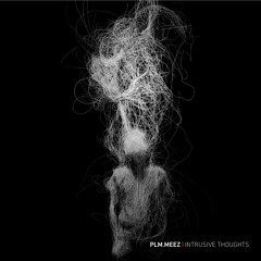plm.meez - intrusive