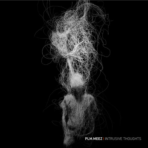 plm.meez - intrusive