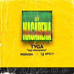 Ayy Macarena - Tyga (DJ SPICY & MEDUN Mashup)