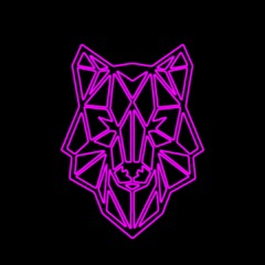 NEON VIBES