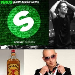 Pitbull vs Martin Garrix - Fireball vs Virus (Jamieson Flip)