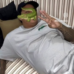 MC RV DO CP - OS CRIA AVANCANDO LA NOS ALEMAO (DJ CAIO SANTOS ) 2k25
