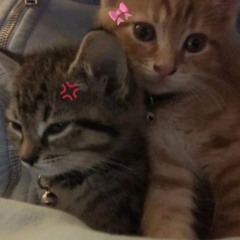 no quiero otra (Clauditox) Prod. Jorko+ aloa