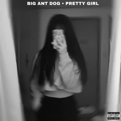 Stream Pretty Girl Leaked by Big Ant Dog Listen online for free on
