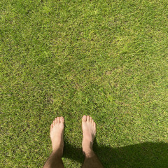 touch grass // kabicast 002