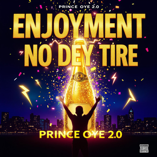 Enjoyment No Dey Tire