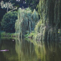 plantts (ft. MCeliac) {prod-woozymadeit}