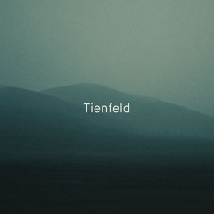 Tienfeld