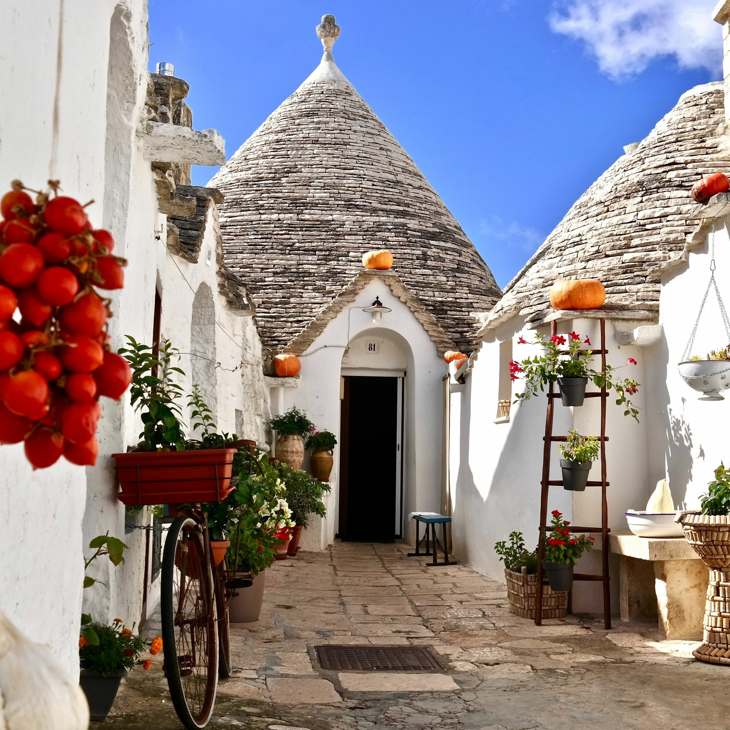 SilverTravelAdvisor