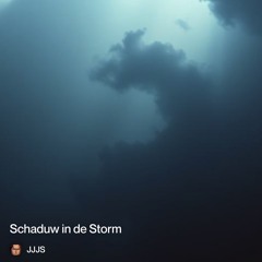 schaduw-in-de-storm.mp3