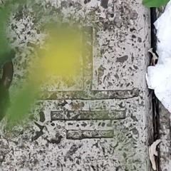 EARTH