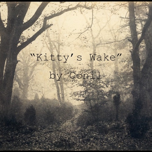 Kitty's Wake