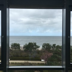 this is not a livestream!