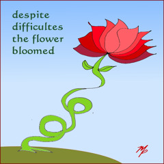why the rose keeps blooming