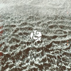 'The Hypothesis' ((All Original Mix 2022))