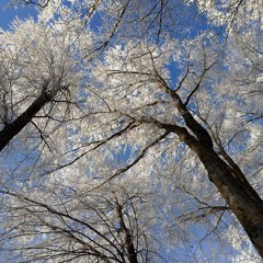 Tomorrow never knows _ jam