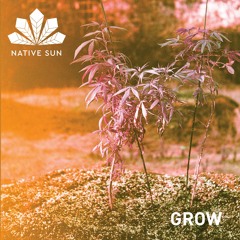Gui Machado | GROW | NATIVE SUN AIR