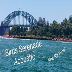 Birds Serenade