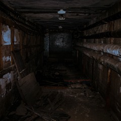 Stalked (Next Gen Version)