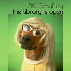 THE LIBRARY IS OPEN [ @DJTONYPLAY ]